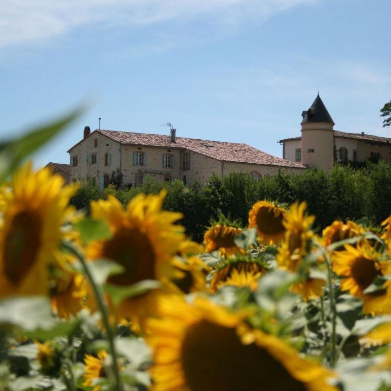 Bed and Breakfast Domaine d'En Naudet Teyssode Exterior foto